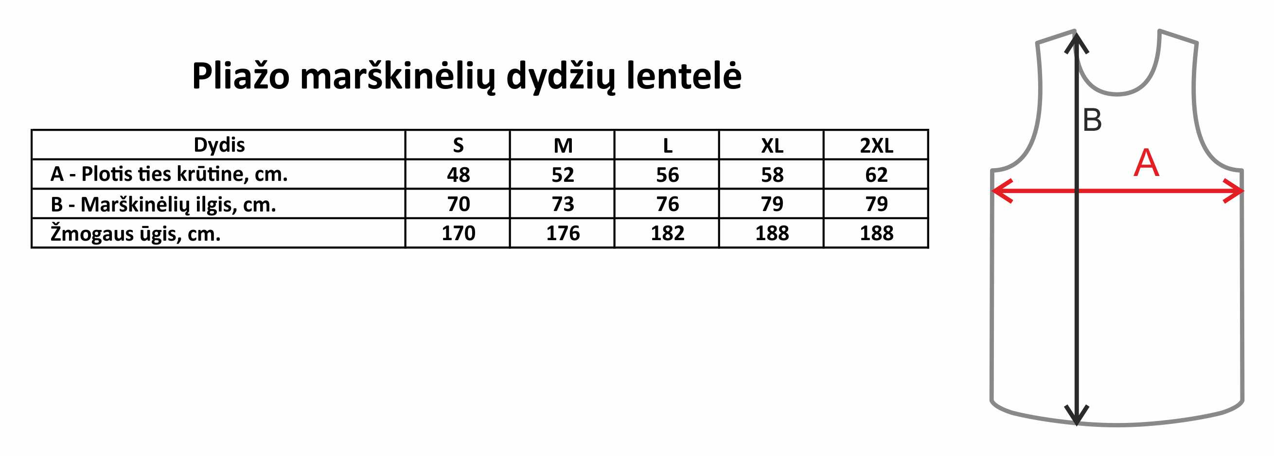 Pliazo_tinklinio_dydziai_vyriskia.png